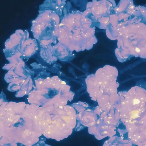 黄瓜视频下载app下载免费版下载
