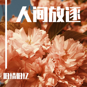 黄瓜视频下载app下载免费版下载
